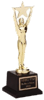 Star Achievement
