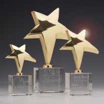 3843 Gold Rising Star Trophies on optical crystal base
