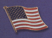 USA Pin - Click for bigger Pic