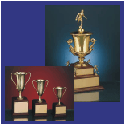 Click to view our Cup & Bowl Trophies