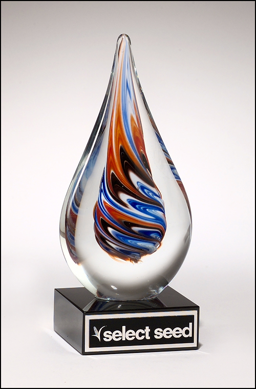 1625 Art Glass Award