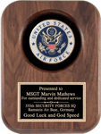 GAM-AT51 Air Force Plaque - click pic for larger image.