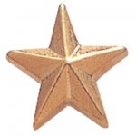 Star Pin.  Click pic for larger image.