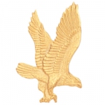 Eagle Pin.  Click pic for larger image.