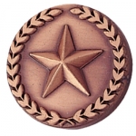 Star Pin.  Click pic for larger image.