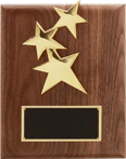Click here to view Star Plaques