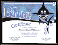 Black Plastic Certificate Frame. Click for larger image.